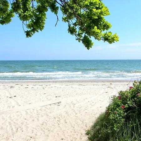 아파트 Strandnahe Rex Rugia: Balkon-fewo Mit Ahoi Erlebnisbad-zugang *