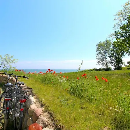 Strandresort Rex Rugia Ferienwohnung 13-6Mit Sauna- Und Schwimmbadnutzung Im Ahoi Sellin Appartement Lobbe